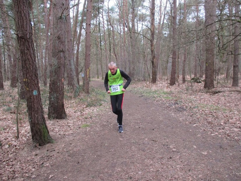 Bosloop Brecht - 10